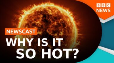 Is Europe’s heatwave worse than normal? | BBC Newscast