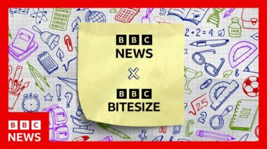 LIVE: Join us for GCSE Maths and Chemistry revision session | BBC News