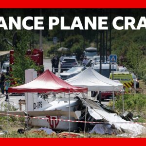 Eleven killed after plane carrying skydivers crashes in eastern France | BBC News