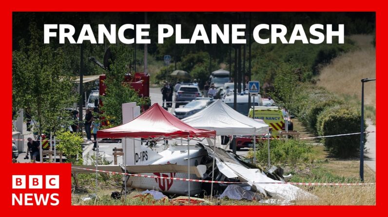 Eleven killed after plane carrying skydivers crashes in eastern France | BBC News