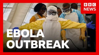Ebola outbreak in DR of Congo could take year to end, Red Cross says | BBC News