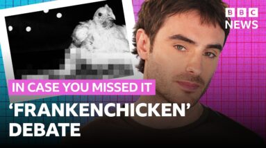 Animal welfare vs sustainability - the ‘Frankenchicken’ debate explained | In Case You Missed It