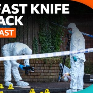 What we know about the Belfast knife attack so far | BBC Newscast