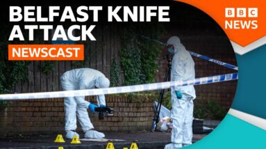 What we know about the Belfast knife attack so far | BBC Newscast