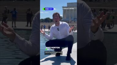 Why has the Lincoln Memorial Reflecting Pool turned green? #BBCNews
