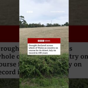 Drought declared across whole of Wales as conditions 'deteriorate'. #Wales #Weather #BBCNews