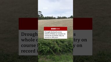 Drought declared across whole of Wales as conditions 'deteriorate'. #Wales #Weather #BBCNews