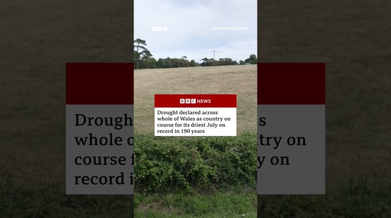Drought declared across whole of Wales as conditions 'deteriorate'. #Wales #Weather #BBCNews