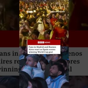 Fans in Madrid and Buenos Aires react as Spain scores winning World Cup goal. #bbcnews