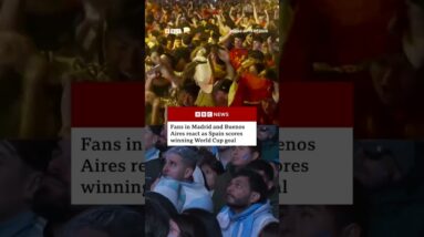 Fans in Madrid and Buenos Aires react as Spain scores winning World Cup goal. #bbcnews