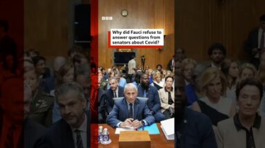 Anthony Fauci refuses to answer questions during US Senate hearing about Covid origins. #BBCNews