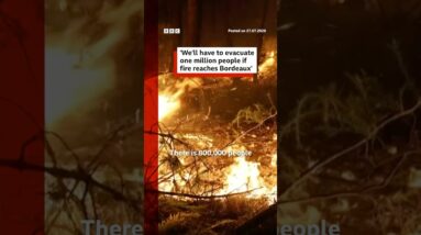 Mayor warns of possible Bordeaux evacuation due to ongoing wildfires. #France #Wildfires #BBCNews