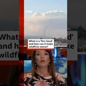 What are 'fire clouds' and how can it spread wildfires? #Wildfires #France #Spain #BBCNews