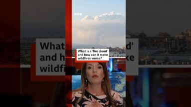 What are 'fire clouds' and how can it spread wildfires? #Wildfires #France #Spain #BBCNews