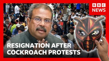 India's Education Minister Dharmendra Pradhan resigns after weeks of 'cockroach' protests | BBC News