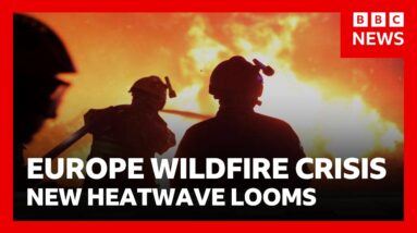Europe wildfires: France warns of worst crisis "since WW2” as new heatwave looms | BBC News