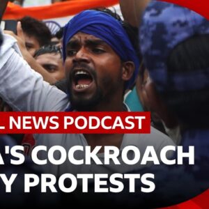 How India's 'cockroach' party sparked a protest movement | Global News Podcast