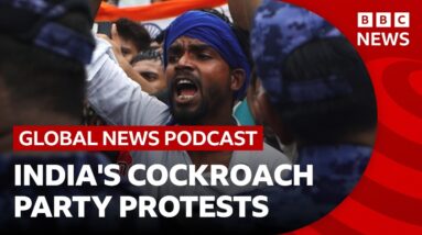How India's 'cockroach' party sparked a protest movement | Global News Podcast