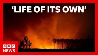 Spanish PM says wildfires are a 'painful expression' of climate emergency | BBC News