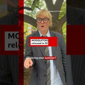 600,000 mosquitoes released across Washington DC area. #BBCNews