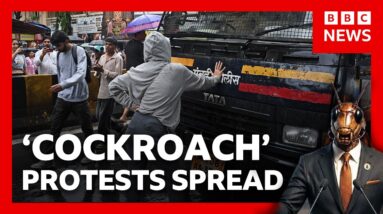 India's cockroach protests: Modi breaks silence and hunger strike ends | BBC News