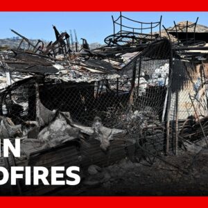Spain battles to contain Ione of its deadliest wildfires as at least 12 killed | BBC News