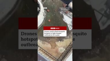 Drones find mosquito-breeding sites in Sri Lanka. #Mosquito #BBCNews