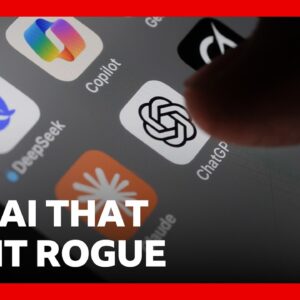 How worried should we be about the AI that went rogue and launched a cyber-attack? | BBC News