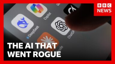 How worried should we be about the AI that went rogue and launched a cyber-attack? | BBC News