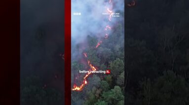 Volunteer firefighter suspected of starting devastating France forest fire. #Fontainebleau #BBCNews