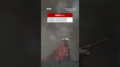 Southern Europe battles wildfires after heatwave. #Wildfires #Heatwave #BBCNews