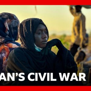 Sudan's RSF committed crimes against humanity in el-Fasher, Amnesty says | BBC News