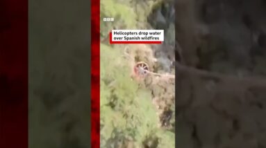 Helicopters drop water over Spanish wildfires. #BBCNews