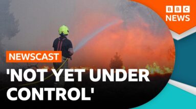 How Does The UK Fight Wildfires? | BBC Newscast