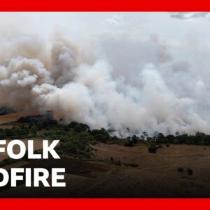 Wildfire in Suffolk, UK, not yet under control, fire service says | BBC News