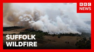 Wildfire in Suffolk, UK, not yet under control, fire service says | BBC News