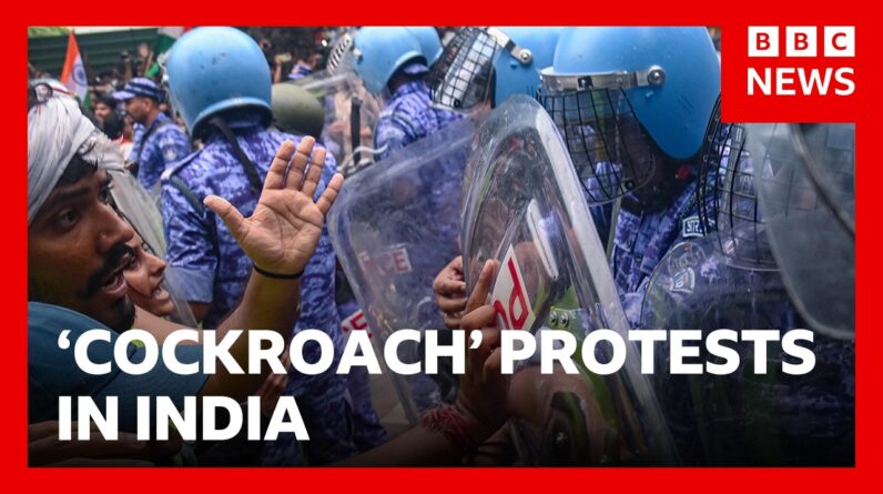 India's 'cockroach' protest continues after police crackdown | BBC News