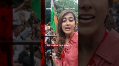 India's 'cockroach' protests continue despite heavy rain. #India #BBCNews