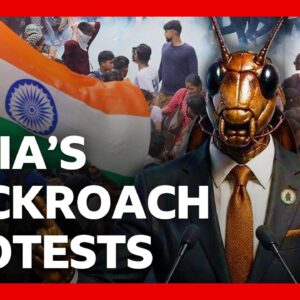India’s ‘cockroach’ protests explained and what happens next | BBC News