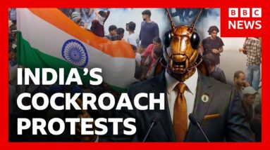 India’s ‘cockroach’ protests explained and what happens next | BBC News