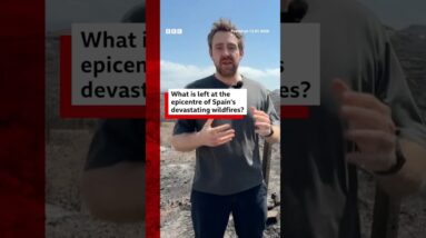 What is left at the epicentre of Spain’s devastating wildfires? #Spain #BBCNews