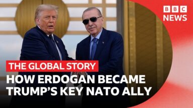 Is Turkey’s Erdogan Nato’s greatest asset? | The Global Story