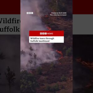Wildfire tears through Suffolk heathland in England. #Suffolk #Wildfire #BBCNews