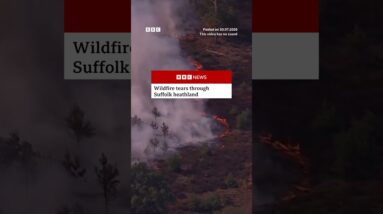 Wildfire tears through Suffolk heathland in England. #Suffolk #Wildfire #BBCNews
