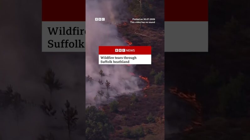 Wildfire tears through Suffolk heathland in England. #Suffolk #Wildfire #BBCNews