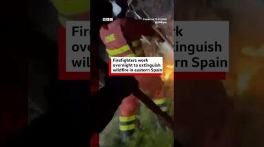 Firefighters work overnight to extinguish wildfire in eastern Spain. #Wildfires #Spain #BBCNews