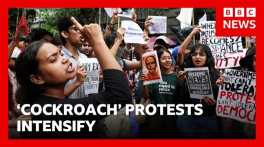 India's Modi government under growing pressure as 'cockroach' protests intensify | BBC News