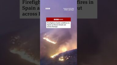 Firefighters battle wildfires in Spain as blazes break out across Europe. #BBCNews