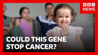 The community that might hold the key to treating cancer | BBC News