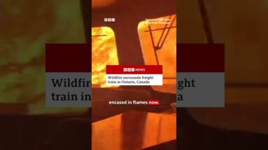 The workers seen in the video were able to escape and are safe. #BBCNews